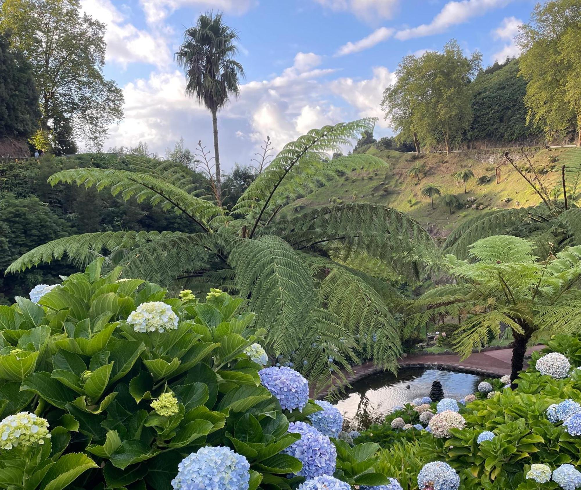 Casa Amelia Villa Feteira Grande Eksteriør billede